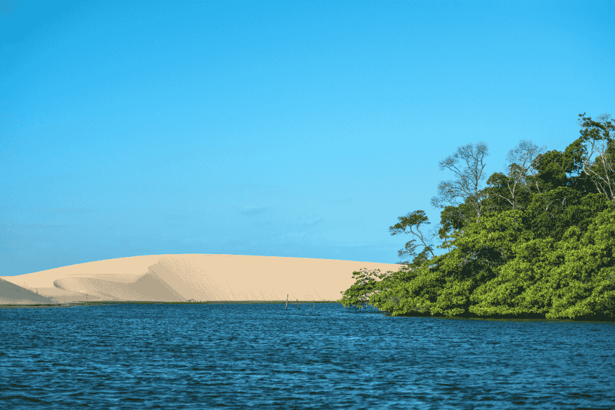 Encontro do rio com dunas e vegetação nativa no Delta do Parnaíba