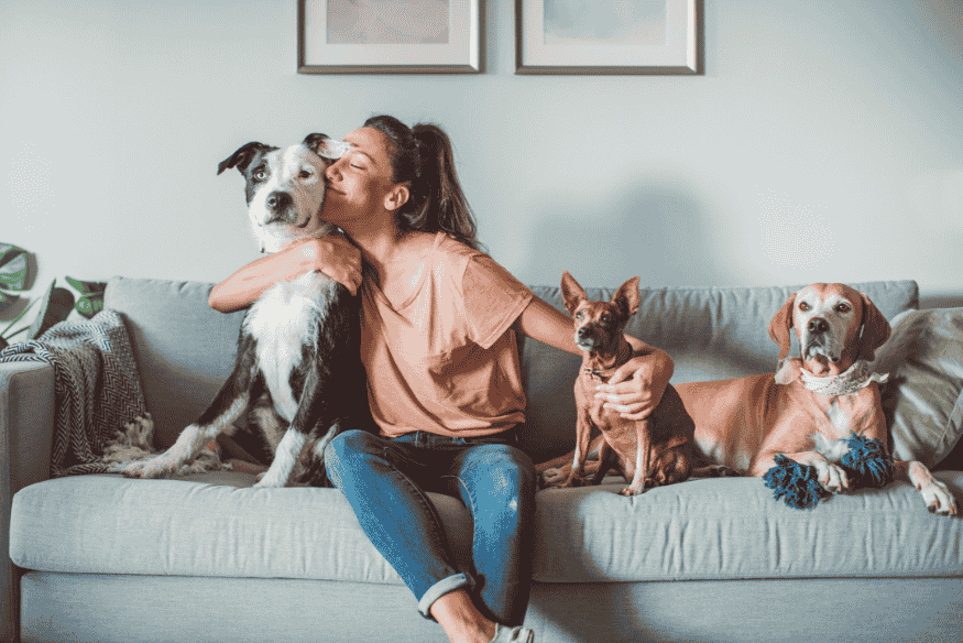 Mulher abraçada com três cães em um sofá dentro de uma casa.