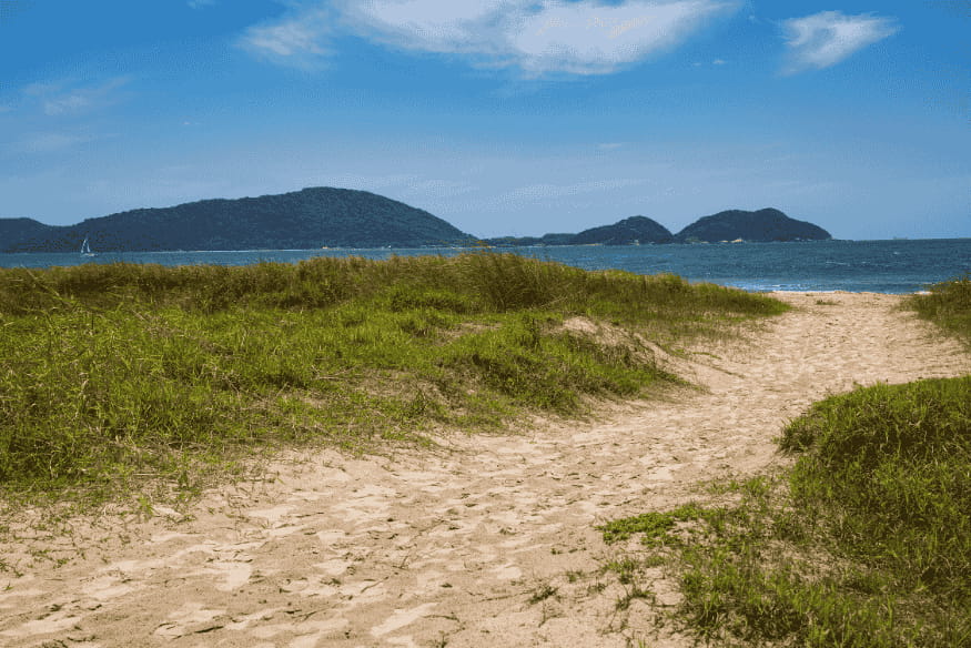 Trilha de areia entre vegetação costeira leva até a praia com vista para o mar e ilhas ao fundo na Ilha do Mel.
