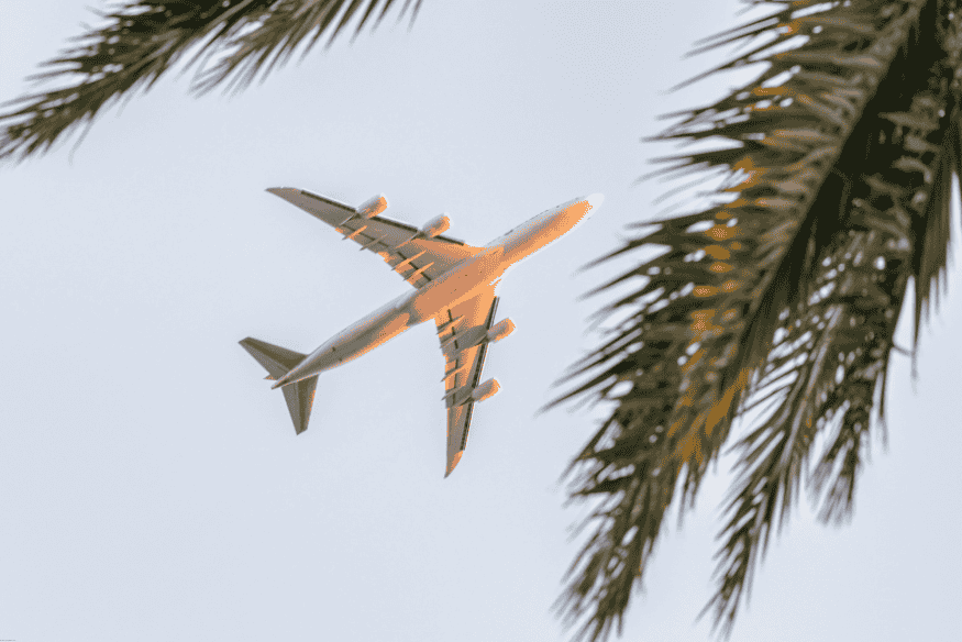 Avião comercial voando entre folhas de palmeira